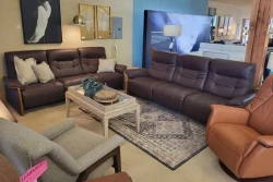 Brown leather sofas tan leather chair artwork and designer lamp