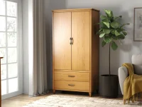 Scandinavian modern wardrobe armoire in light oak finish with dual doors two storage drawers black handles beside fiddle leaf fig plant and gray sofa