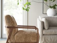 Rowe - Brown Shaggy Armchair With Wooden Frame Near Beige Sofa On Woven Rug Home Decor