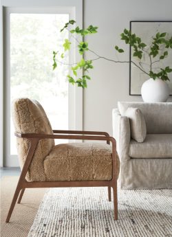 Rowe - Brown Shaggy Armchair With Wooden Frame Near Beige Sofa On Woven Rug Home Decor