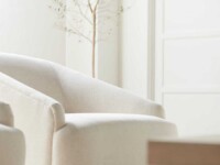 Rowe - Cream Upholstered Armchair With Wooden Base Near Indoor Tree, Home Decor
