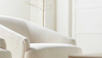 Rowe - Cream Upholstered Armchair With Wooden Base Near Indoor Tree, Home Decor