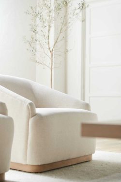 Rowe - Cream Upholstered Armchair With Wooden Base Near Indoor Tree, Home Decor