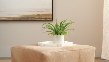 Rowe - Tan Leather Ottoman With Plant On Top Under Framed Artwork Home Decor