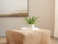 Rowe - Tan Leather Ottoman With Plant On Top Under Framed Artwork Home Decor