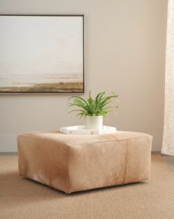Rowe - Tan Leather Ottoman With Plant On Top Under Framed Artwork Home Decor