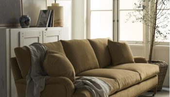 Rowe - close-up view of a tan upholstered sofa with plush cushions and a draped throw, placed on a light rug near a white cabinet with a lamp, books, and a potted olive tree by a large window